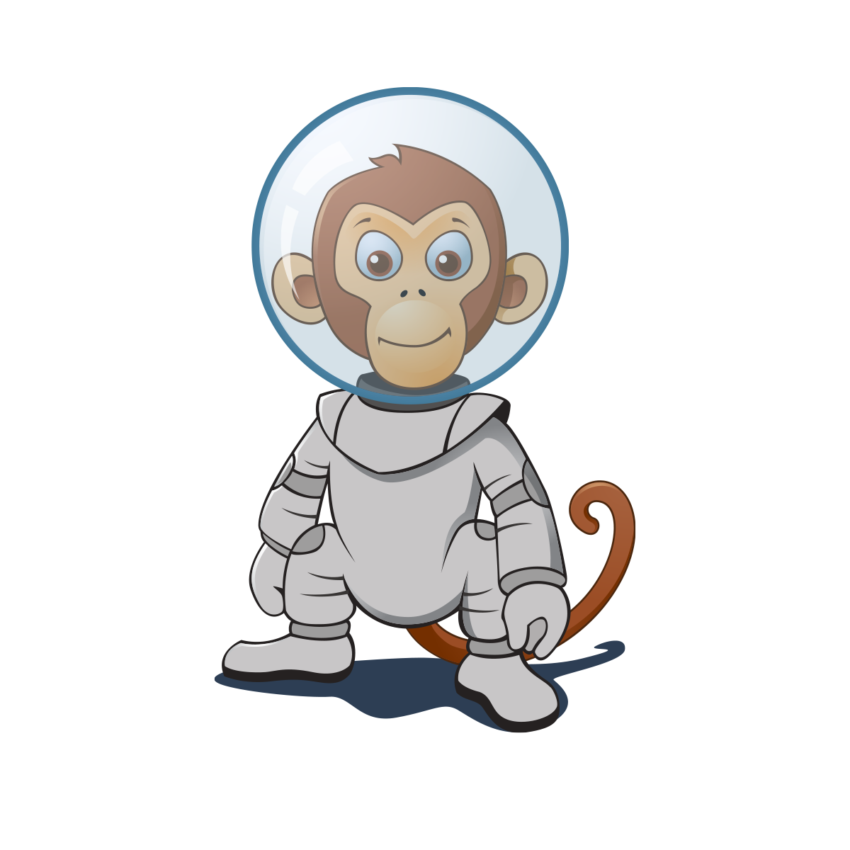 WeFuse Space Monkey